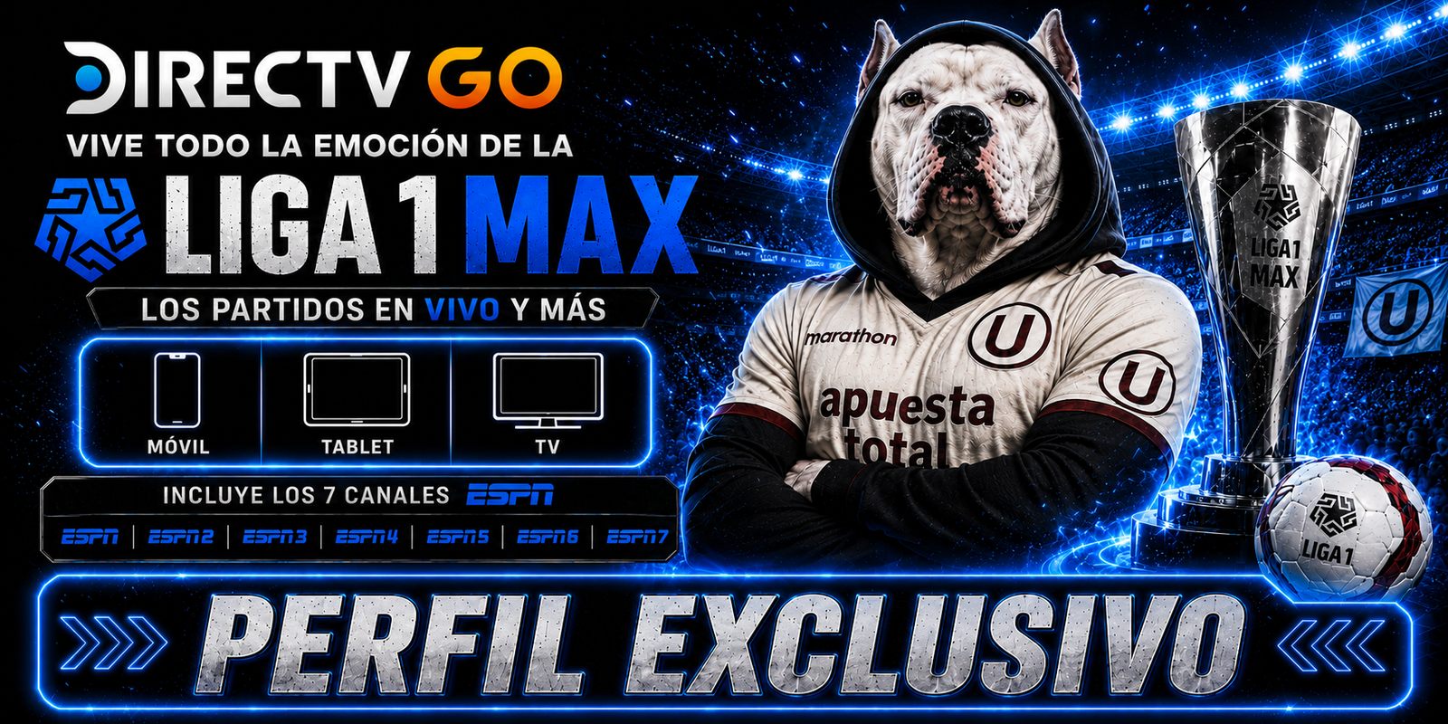 DIRECTV GO PERFIL X 1 MES + LIGA 1 MAX EXCLUSIVO